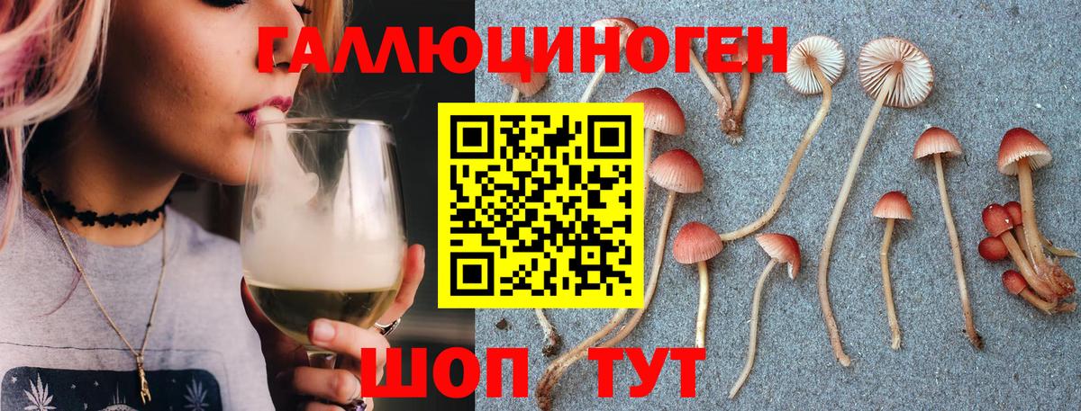 наркотики  Вход с VPN  Тихвин  Галлюциногенные грибы Cubensis  Галлюциногенные грибы Psilocybine cubensis 