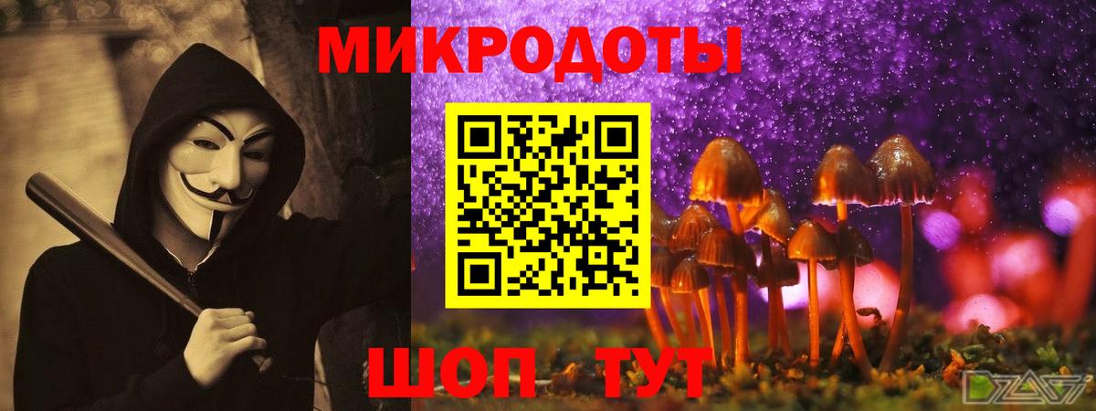 Галлюциногенные грибы Cubensis Тихвин